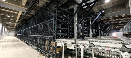 Focusight Sistema di Gestione del Magazzino Stereoscopico Floreale